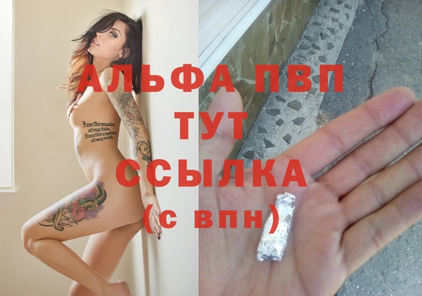 стафф Армянск