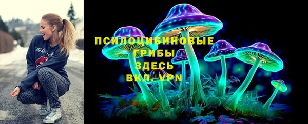 СК Арсеньев