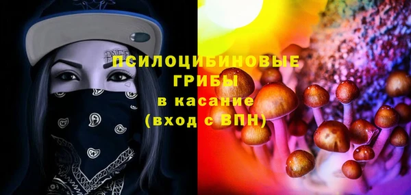 СК Арсеньев