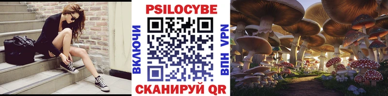 где купить наркотик  Отрадная  Псилоцибиновые грибы MAGIC MUSHROOMS 